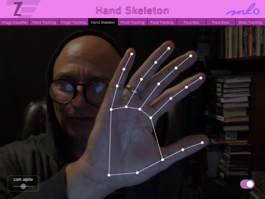 Zapp: <span style=color:#995599>018</span><br>ZIM - ML5 Hand Skeleton Tracking | ZIM JavaScript Canvas Framework - Code Creativity