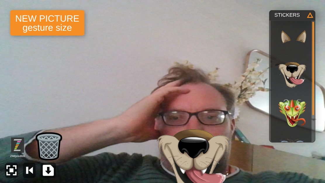 Zapp: Photobooth: take webcamPicture: Pic().gesture()wolf/dragon/bird (v4)ENtitle | ZIM JavaScript Canvas Framework - Code Creativity