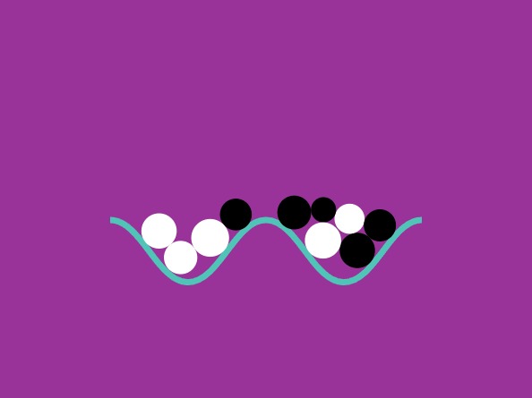 Zapp: <span style=color:#995599>Help</span><br>Squiggle with Physics | ZIM JavaScript Canvas Framework - Code Creativity